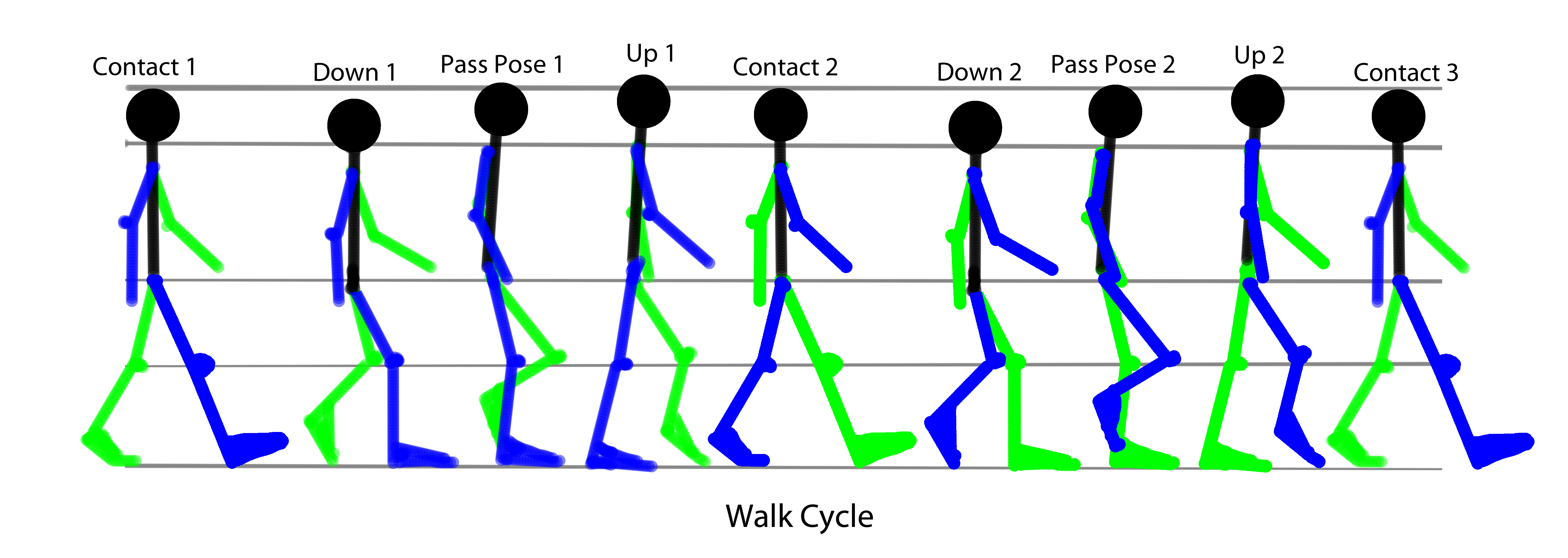 Walk cycle png images | PNGEgg